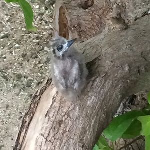 Meet your Posher, Bryan